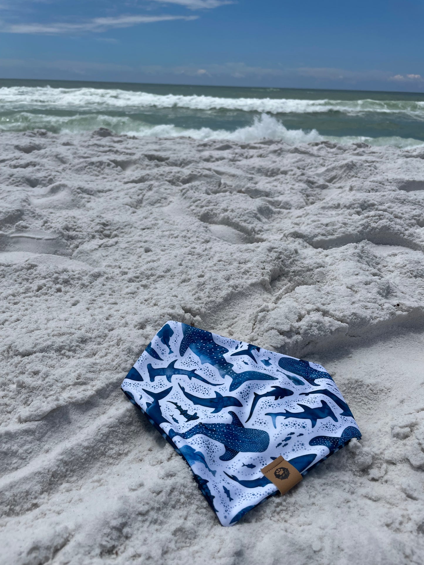 Whale Shark Reversible Adventure Bandana