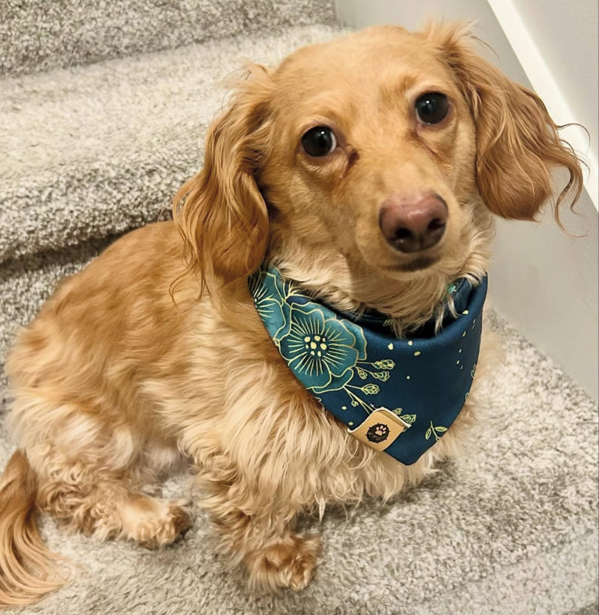 Rune’s and Radiance Reversible Adventure Proof Bandana