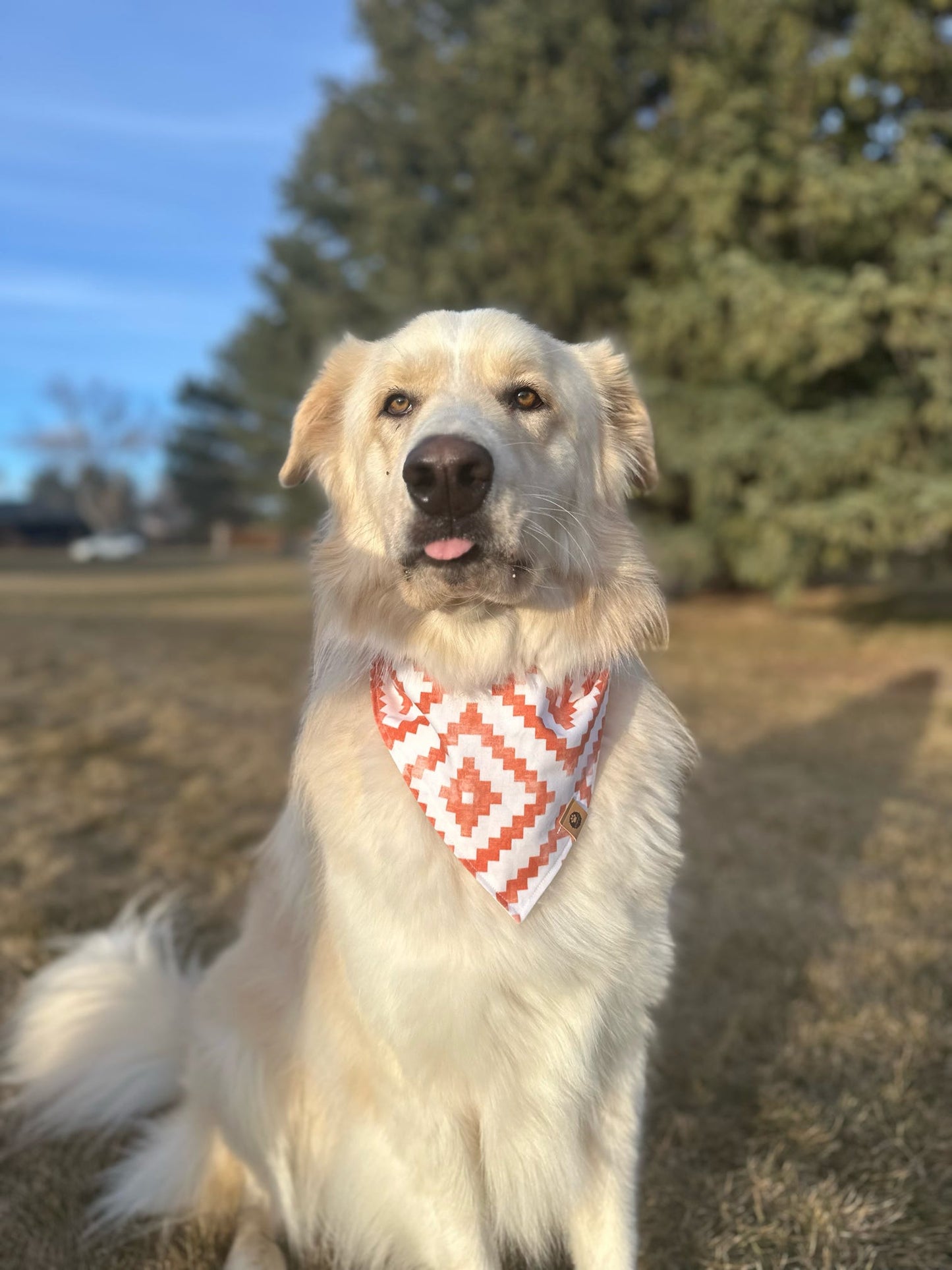 The Outlaw Bandana