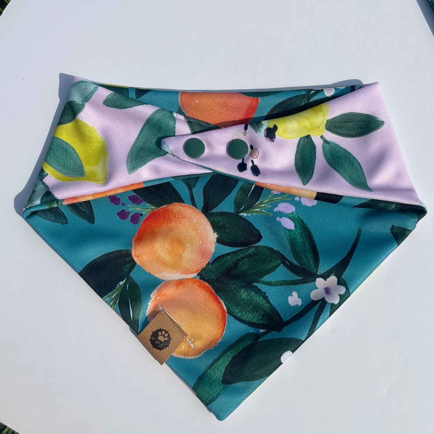 Main Squeeze Reversible Adventure Bandana