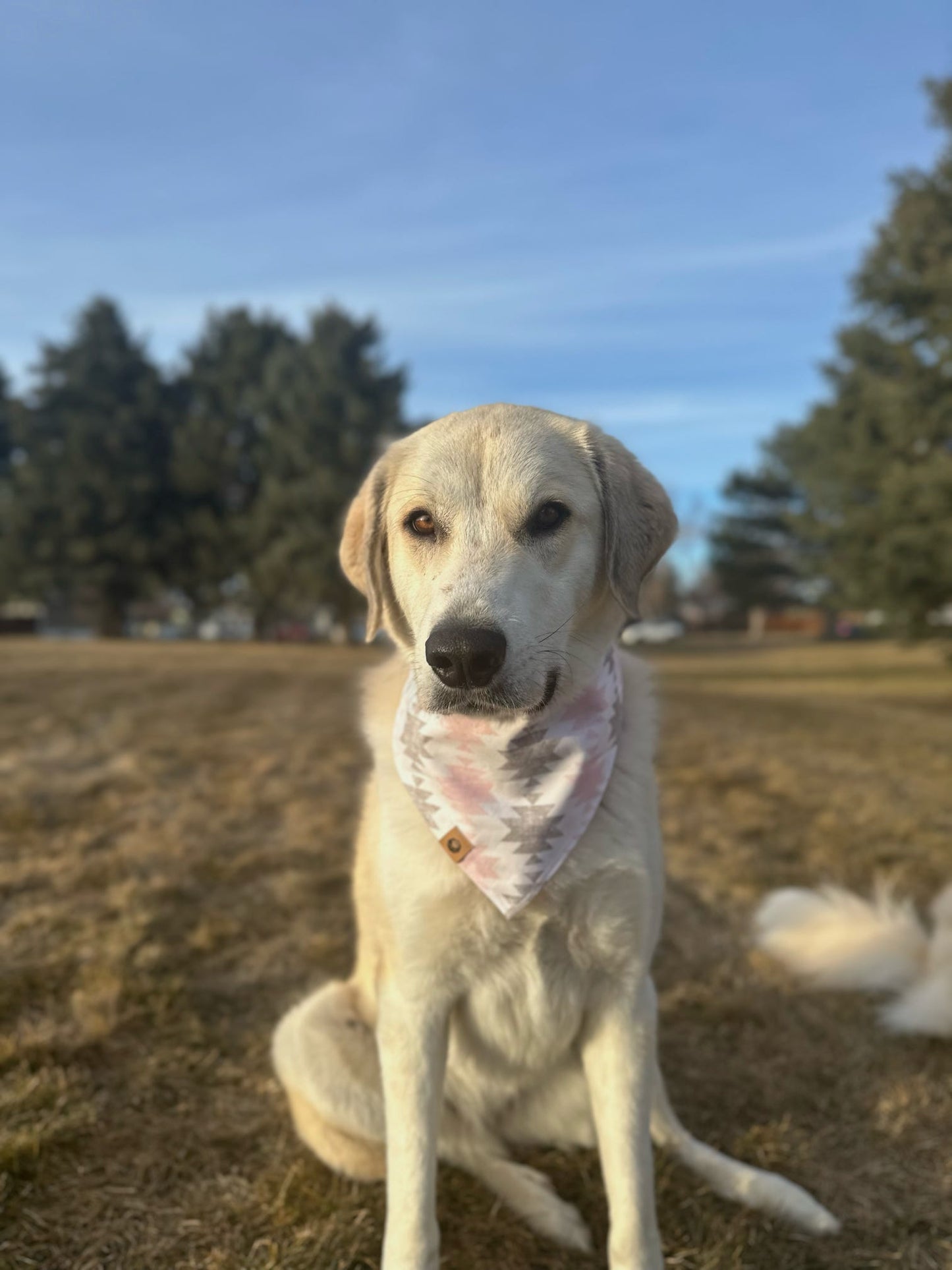 The Outlaw Bandana