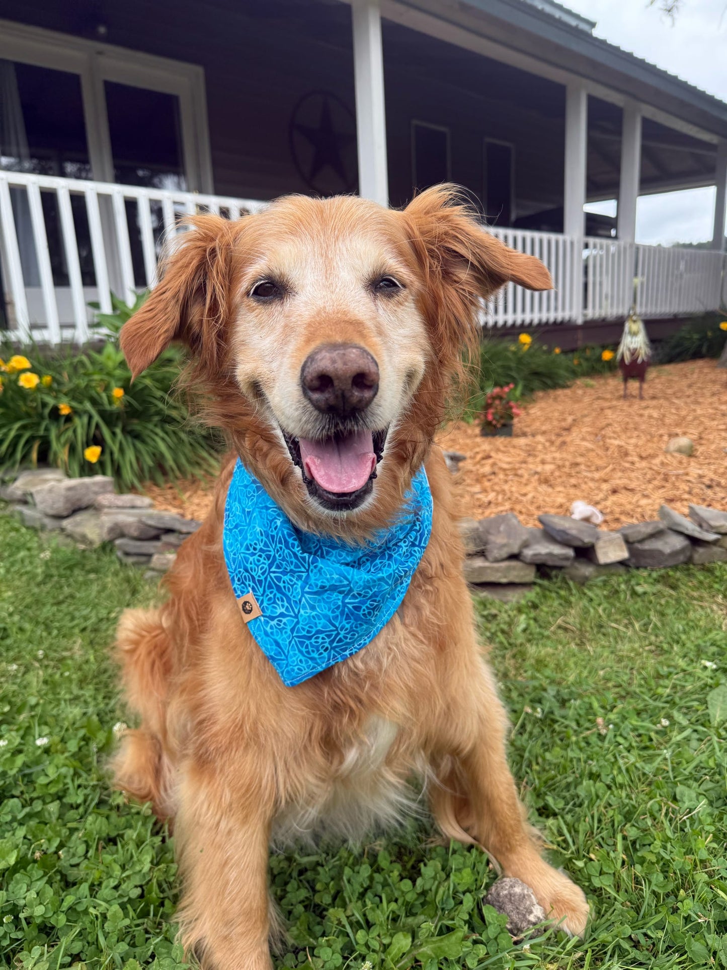 Limerick’s Luck Reversible Bandana (ball is life)