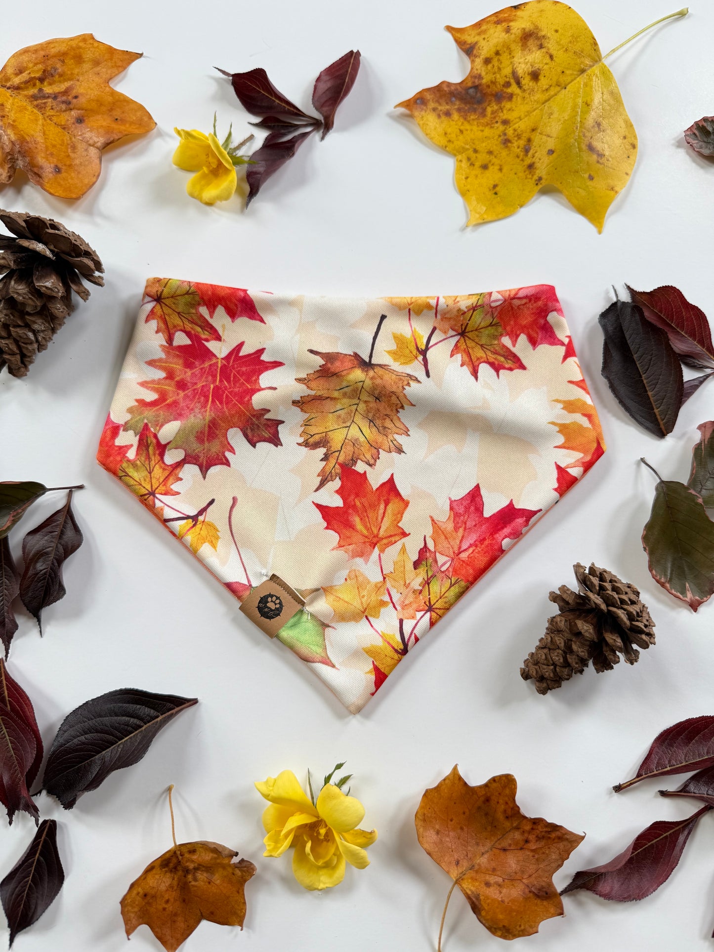 Fall Bites Reversible Adventure Proof Bandana