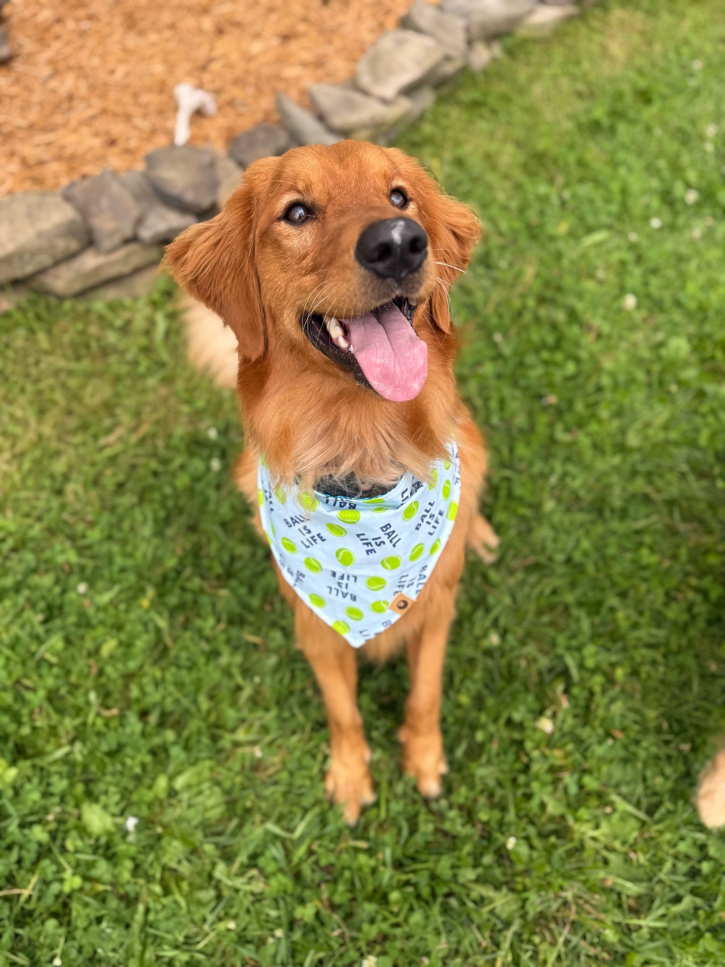 Limerick’s Luck Reversible Bandana (ball is life)