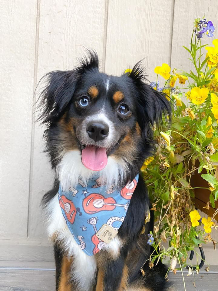 Bodhi’s Wild West Story