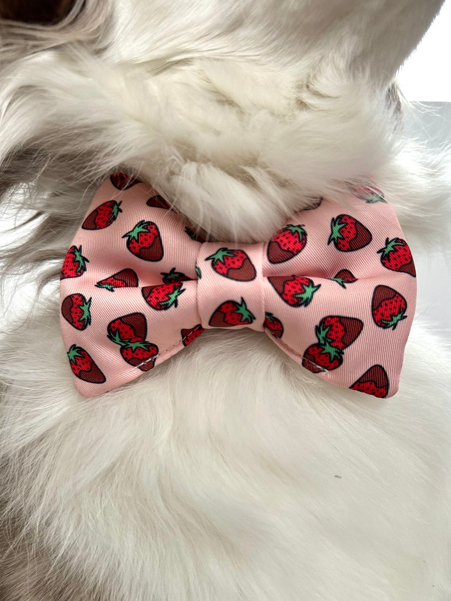 Puppy Love Bow Tie