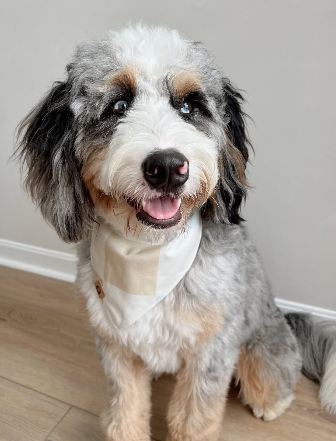 Boho Summer Reversible Bandana