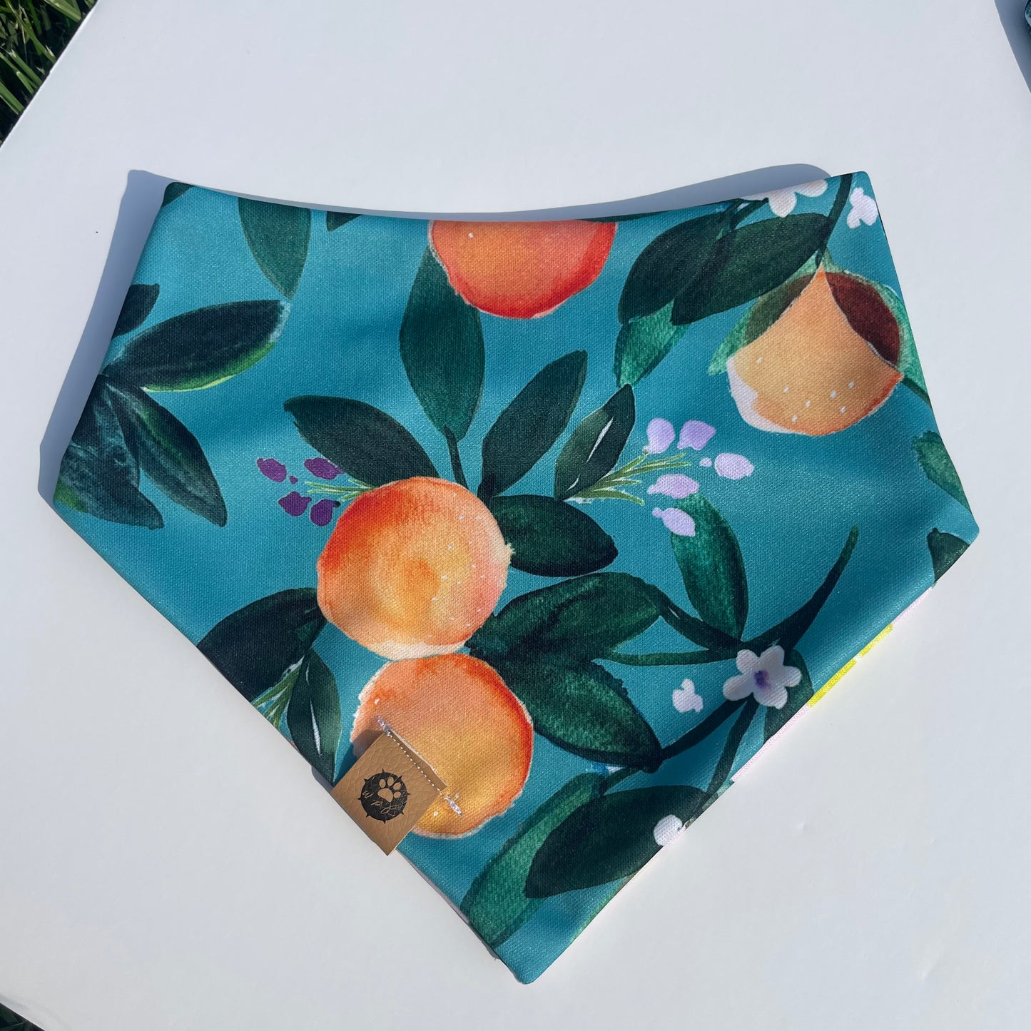 Main Squeeze Reversible Adventure Bandana