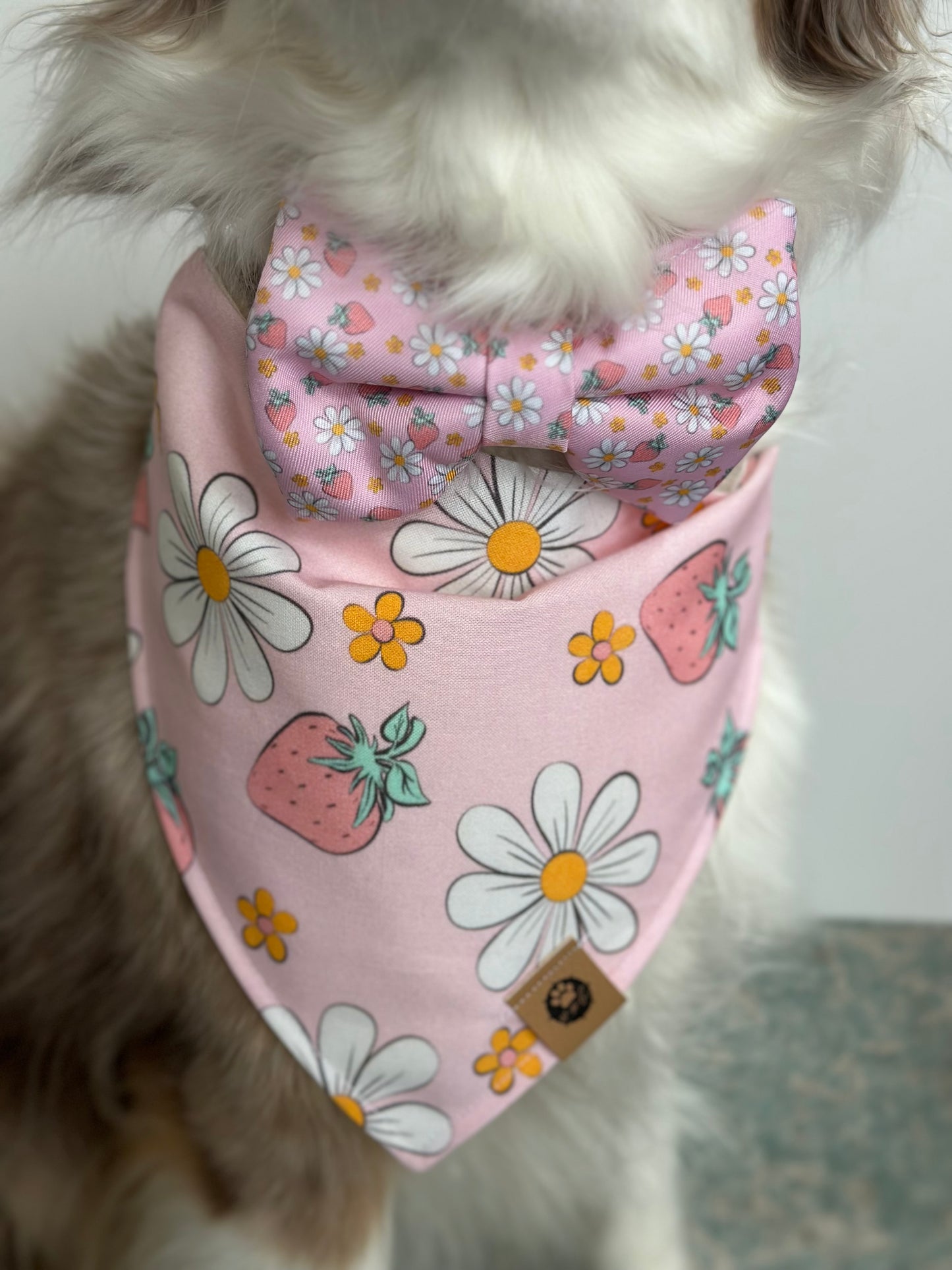 Strawberry Sunshine Bow Tie