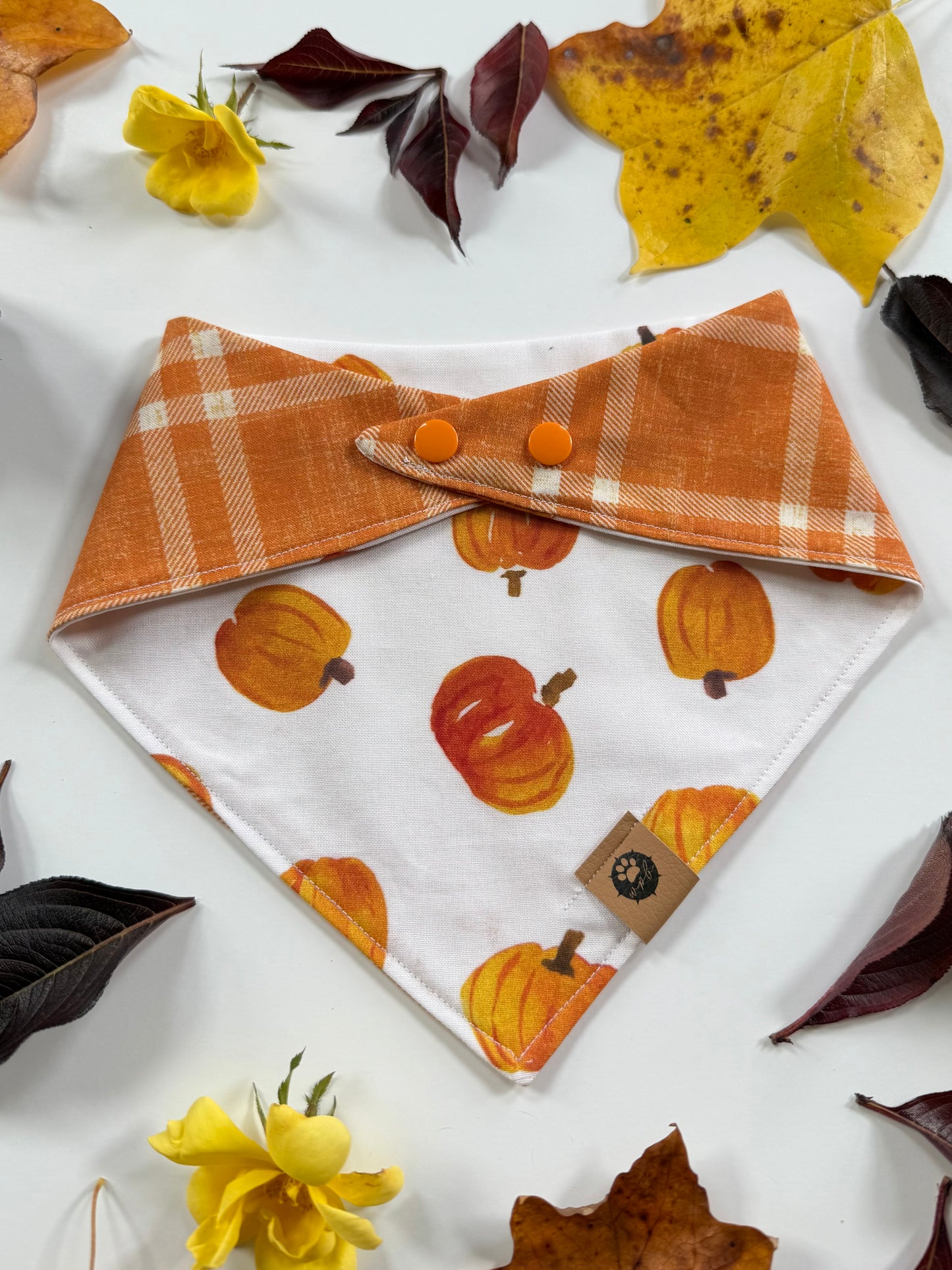 Cutest Pumpkin Reversible Custom Bandana
