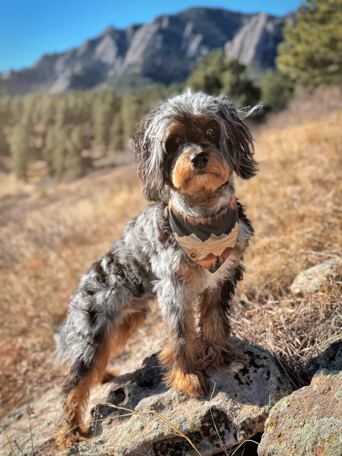 Mountain Muse Reversible Wander Proof Style Bandana