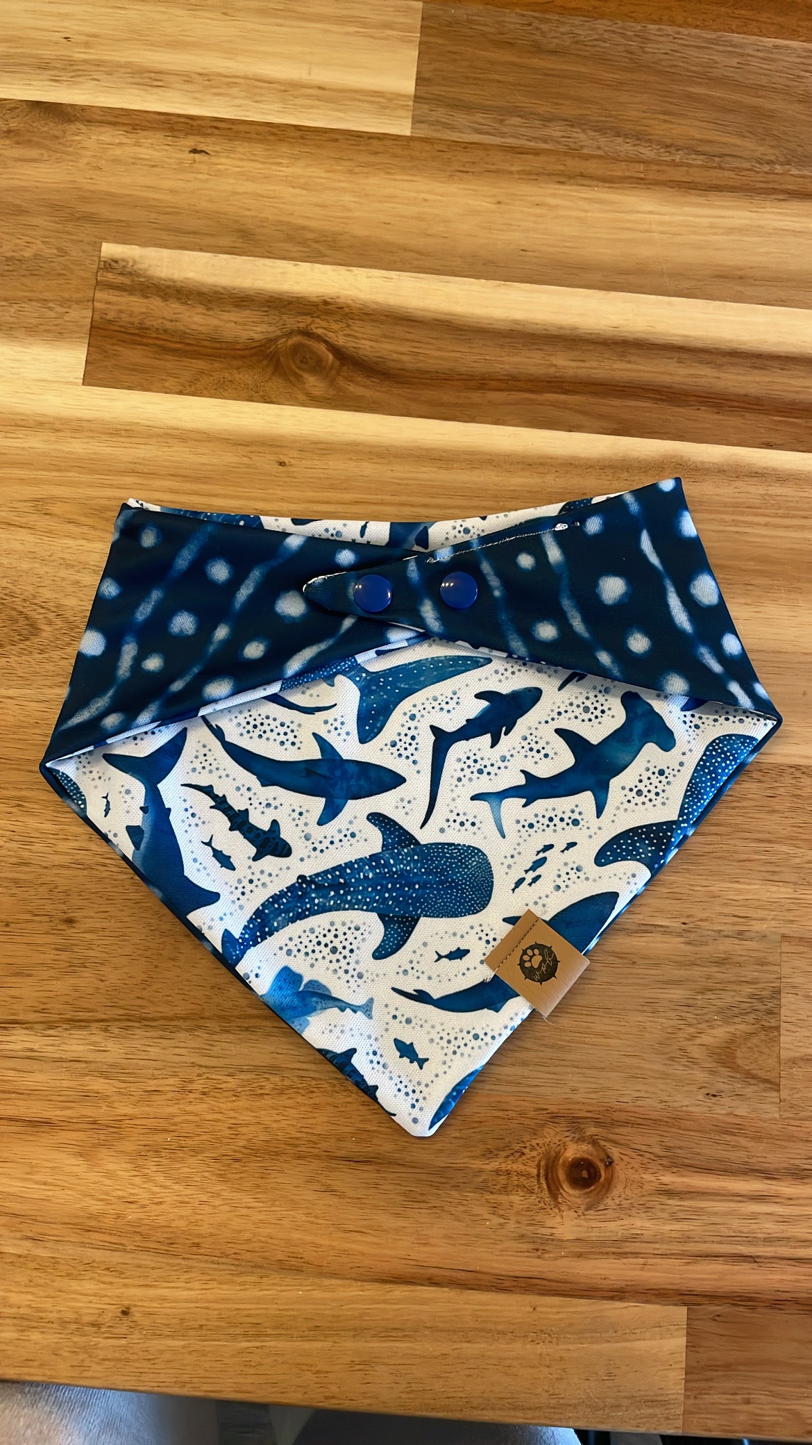 Whale Shark Reversible Adventure Bandana