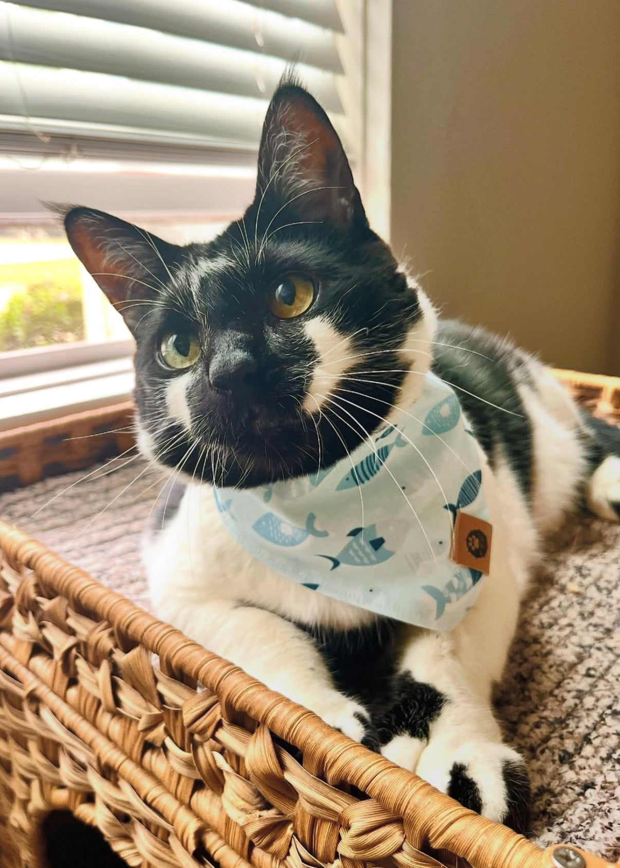 Tribal Tides Reversible Bandana