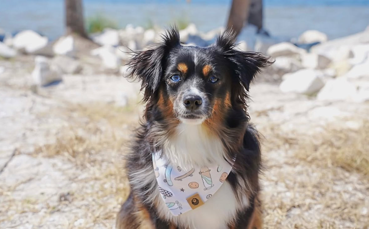 Joy Ride Reversible Adventure Proof Bandana