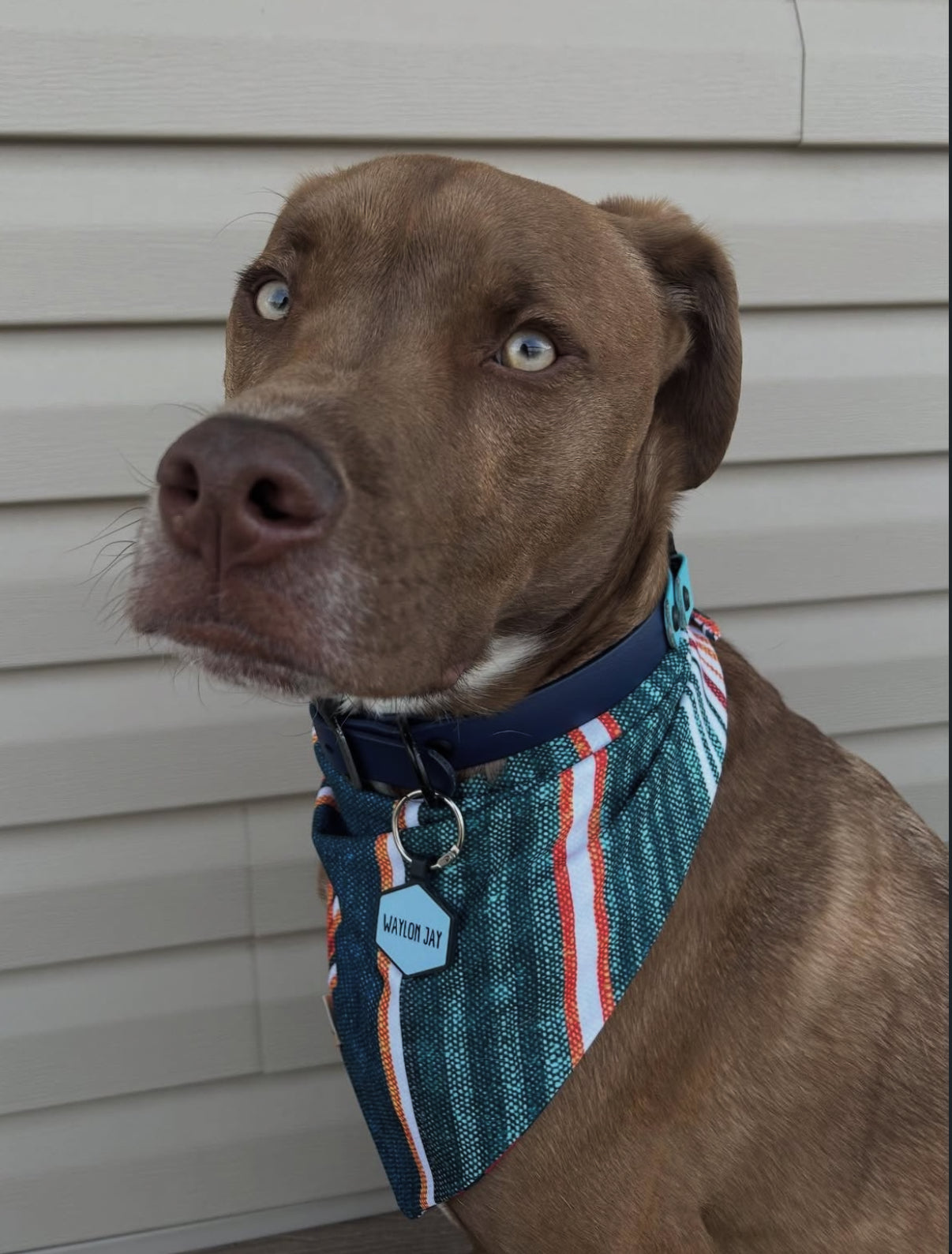 Stud Muffin Reversible Wander Proof Style Bandana