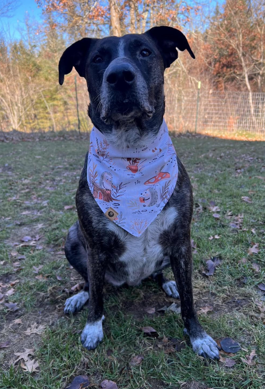 Lupita & Jovie Reversible Bandana