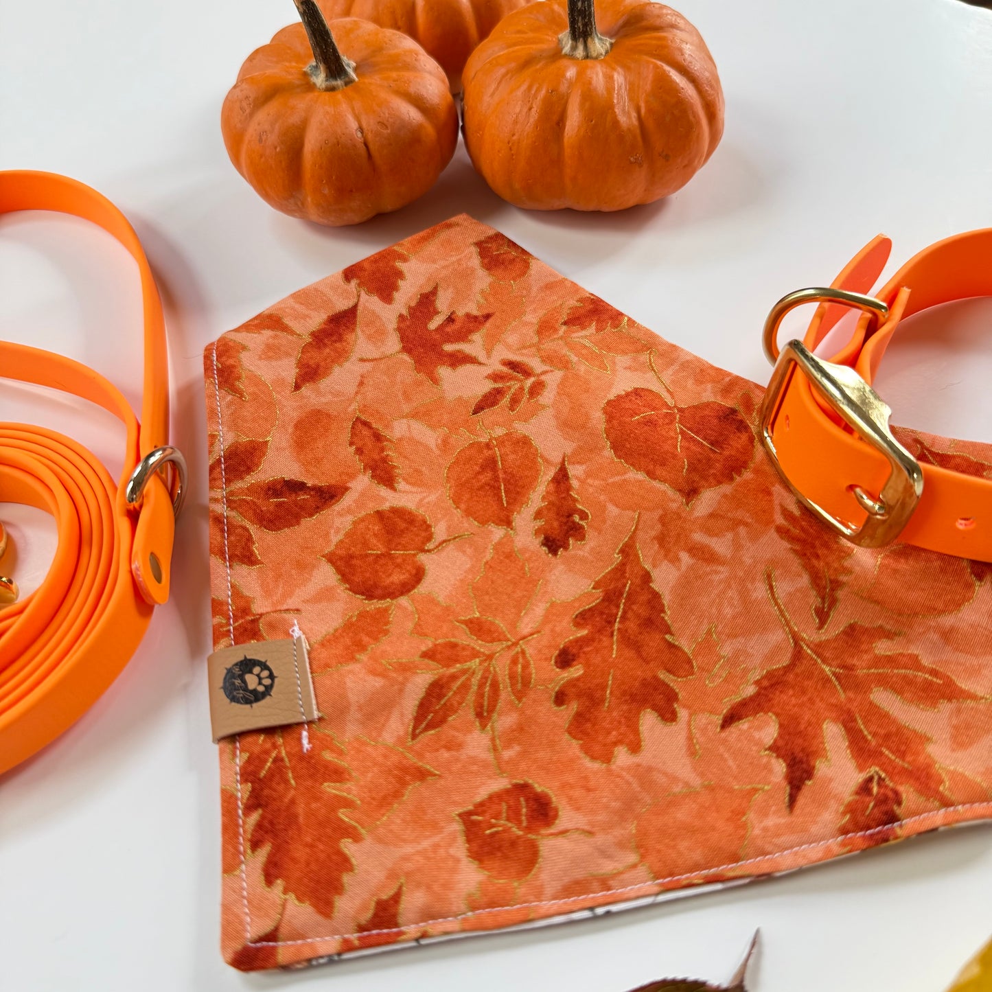 Ember Trail Reversible Bandana