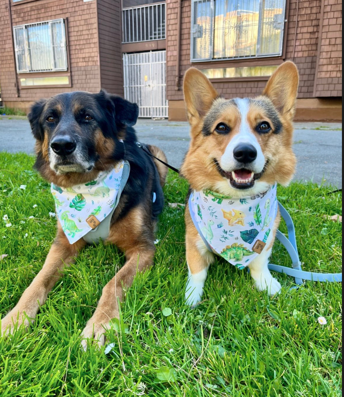 Feeling Dino-Rific Reversible Bandana