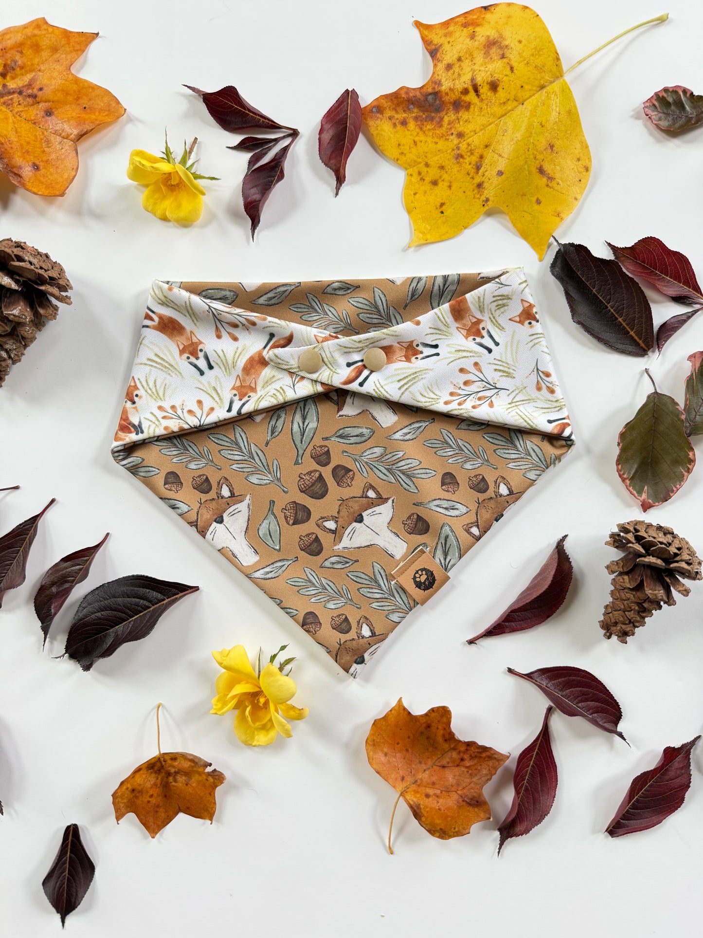 Foxy Friends Reversible Adventure Proof Bandana