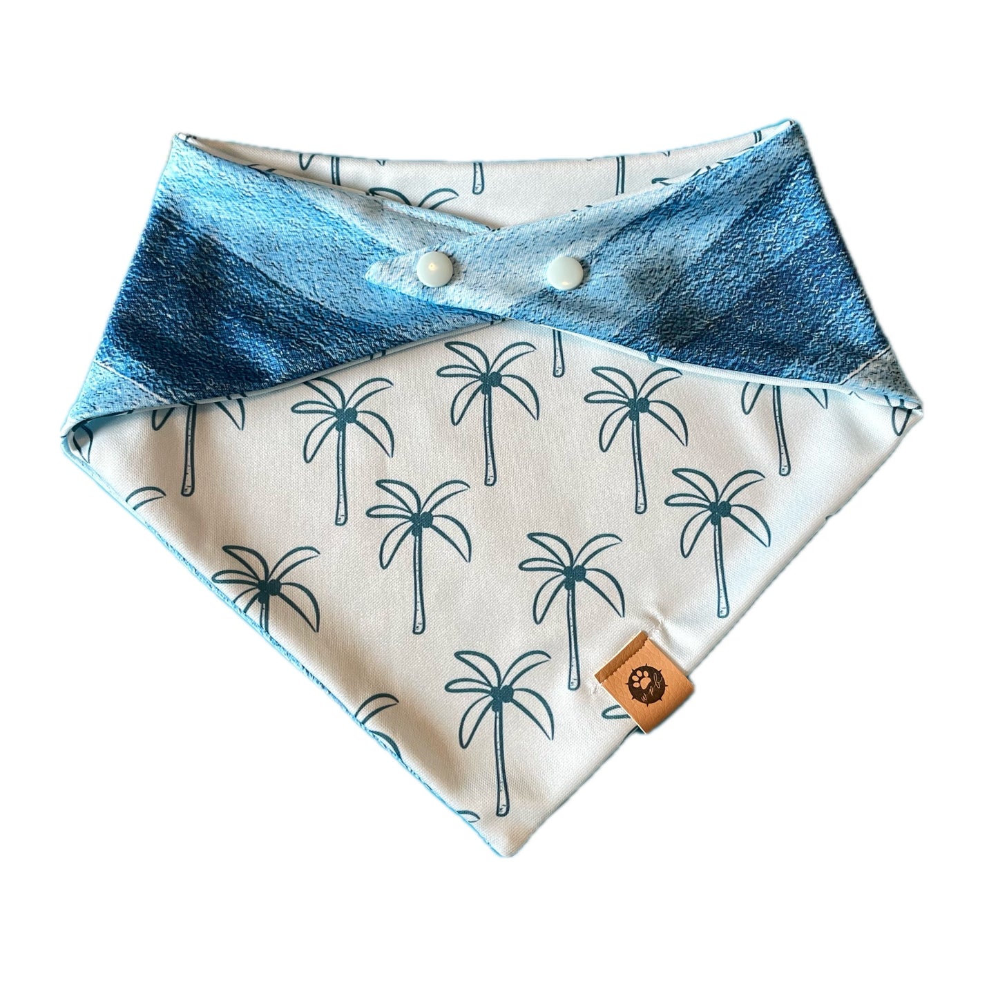 Oakley’s Salty Paws Reversible Adventure Bandana