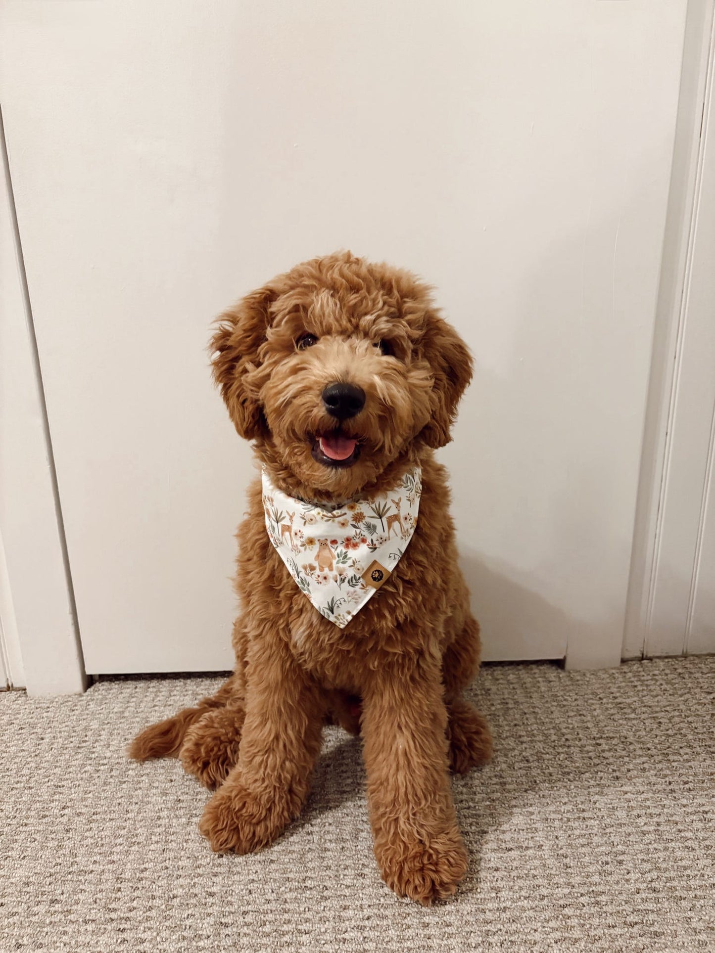 Velvet Timber Reversible Bandana