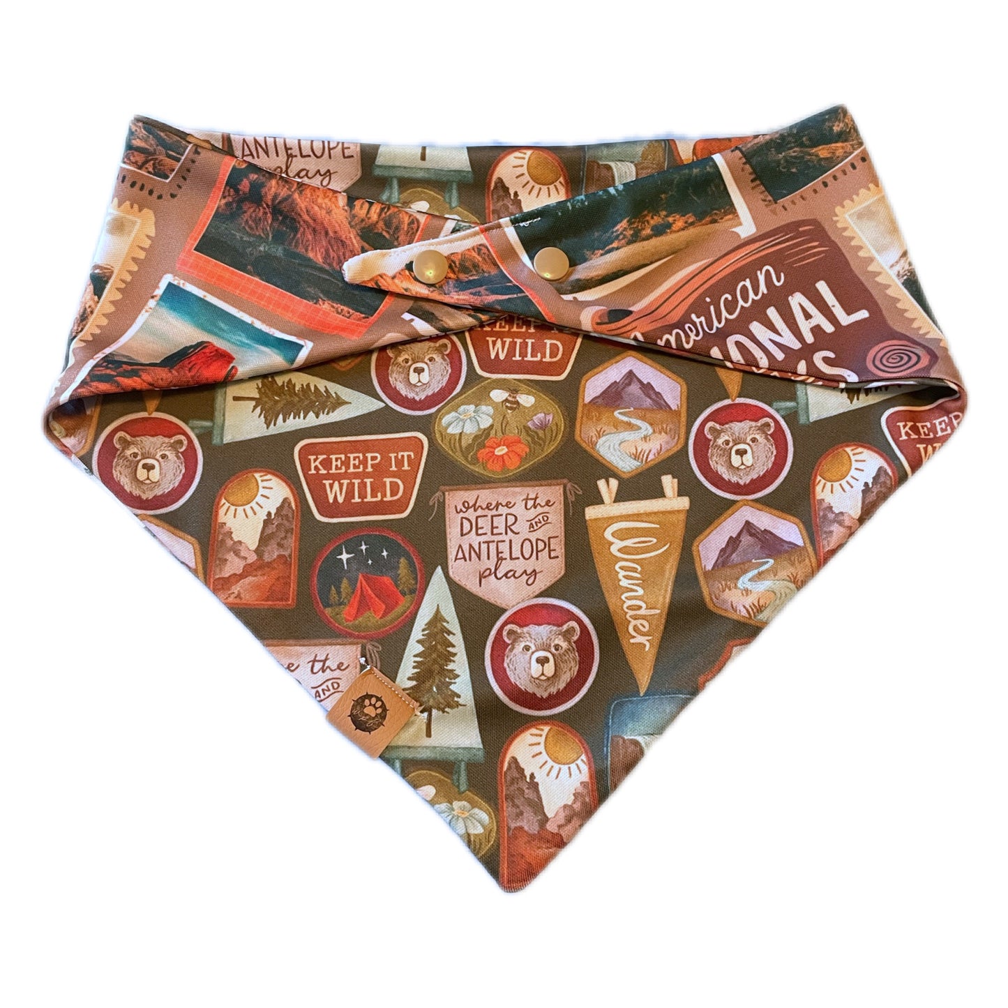 Peaks & Patches Adventure Proof Bandana
