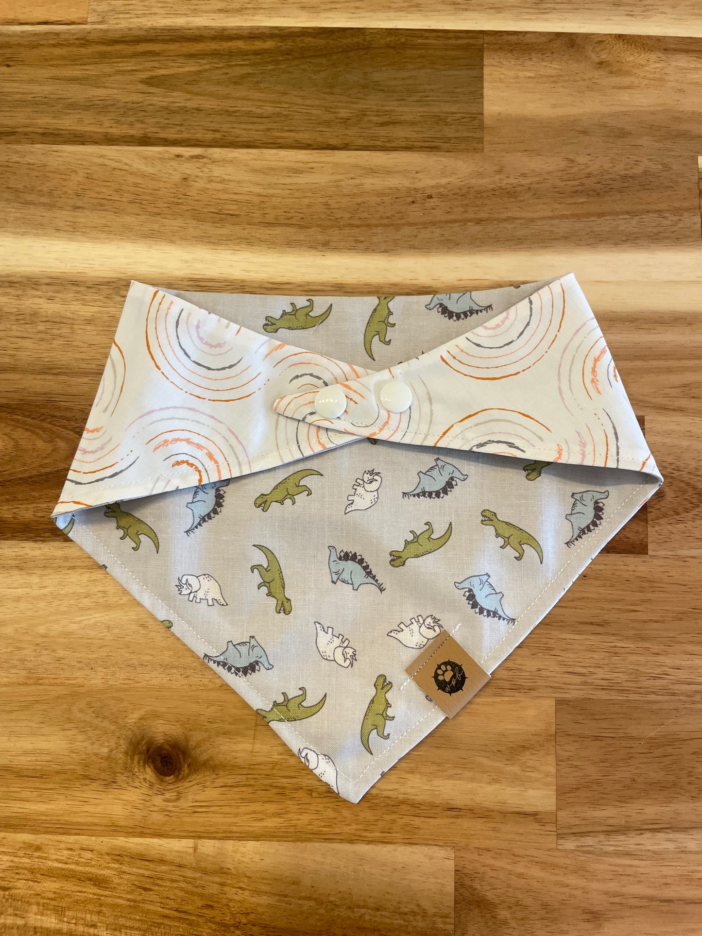 Dinos and Rainbows Reversible Bandana