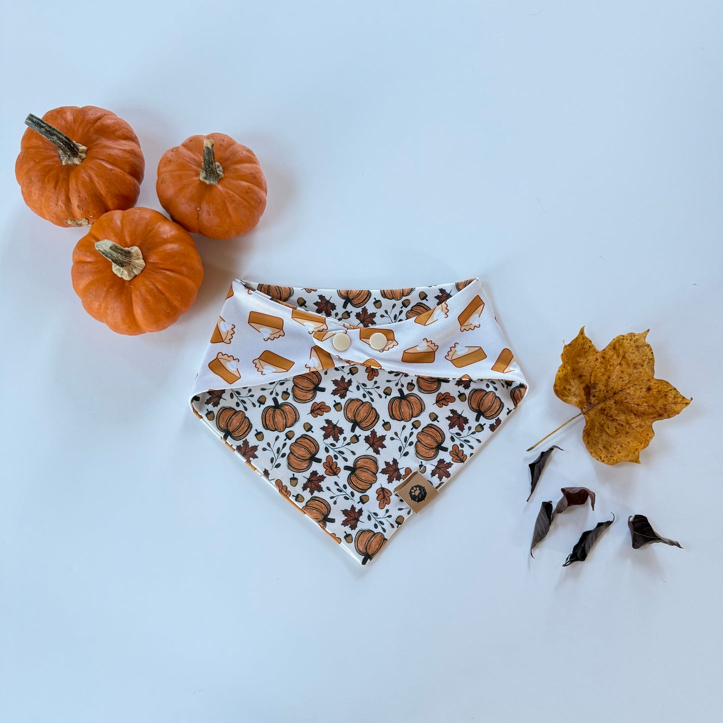 Pumpkin Pie Reversible Adventure Proof Bandana