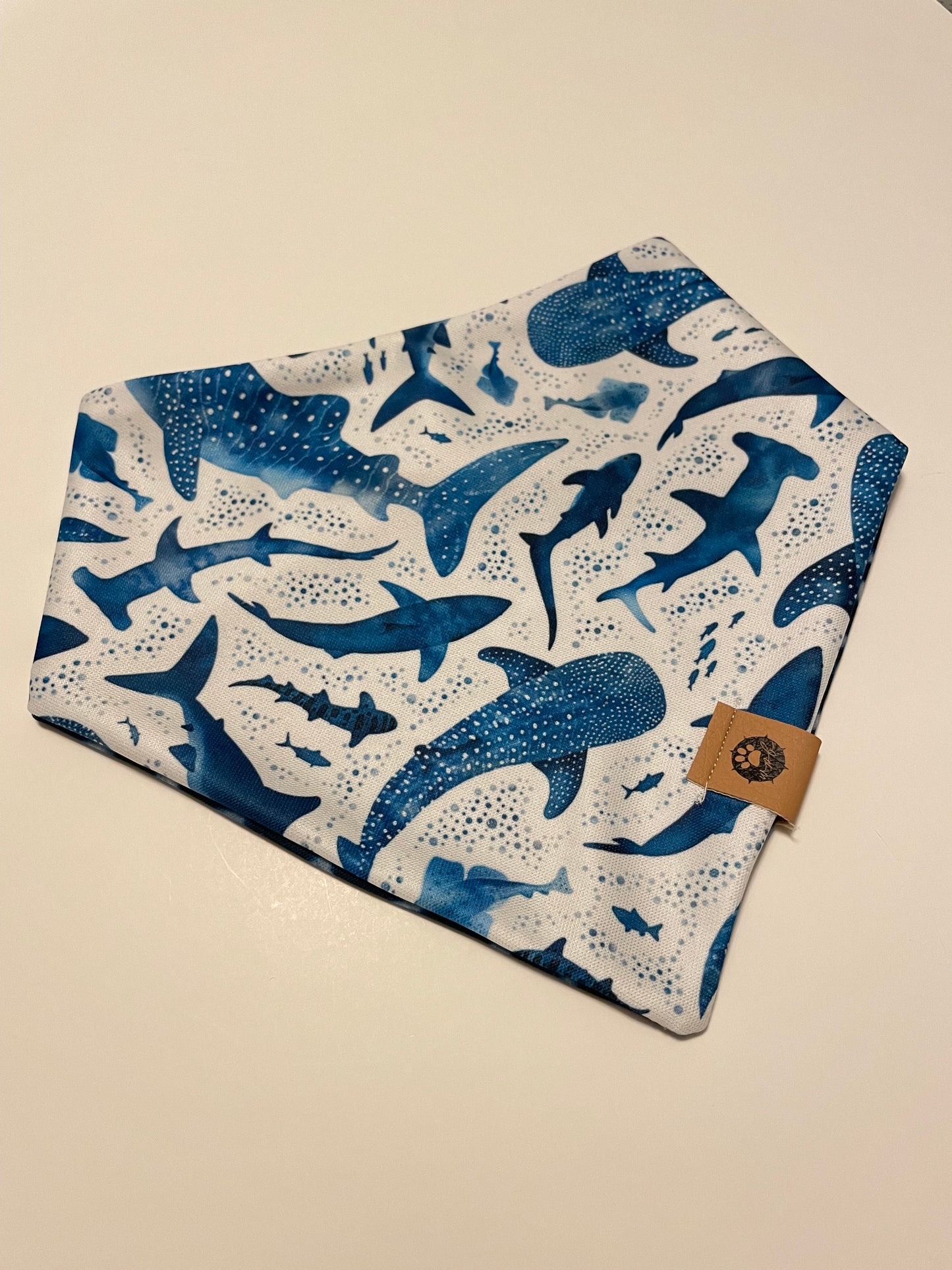 Whale Shark Reversible Adventure Bandana