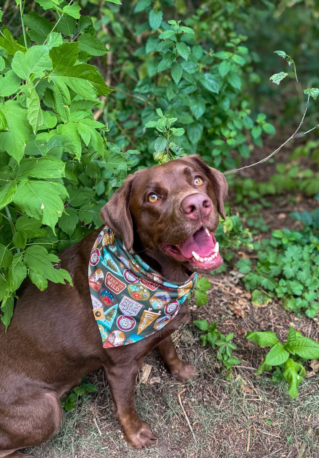 Peaks & Patches Adventure Proof Bandana