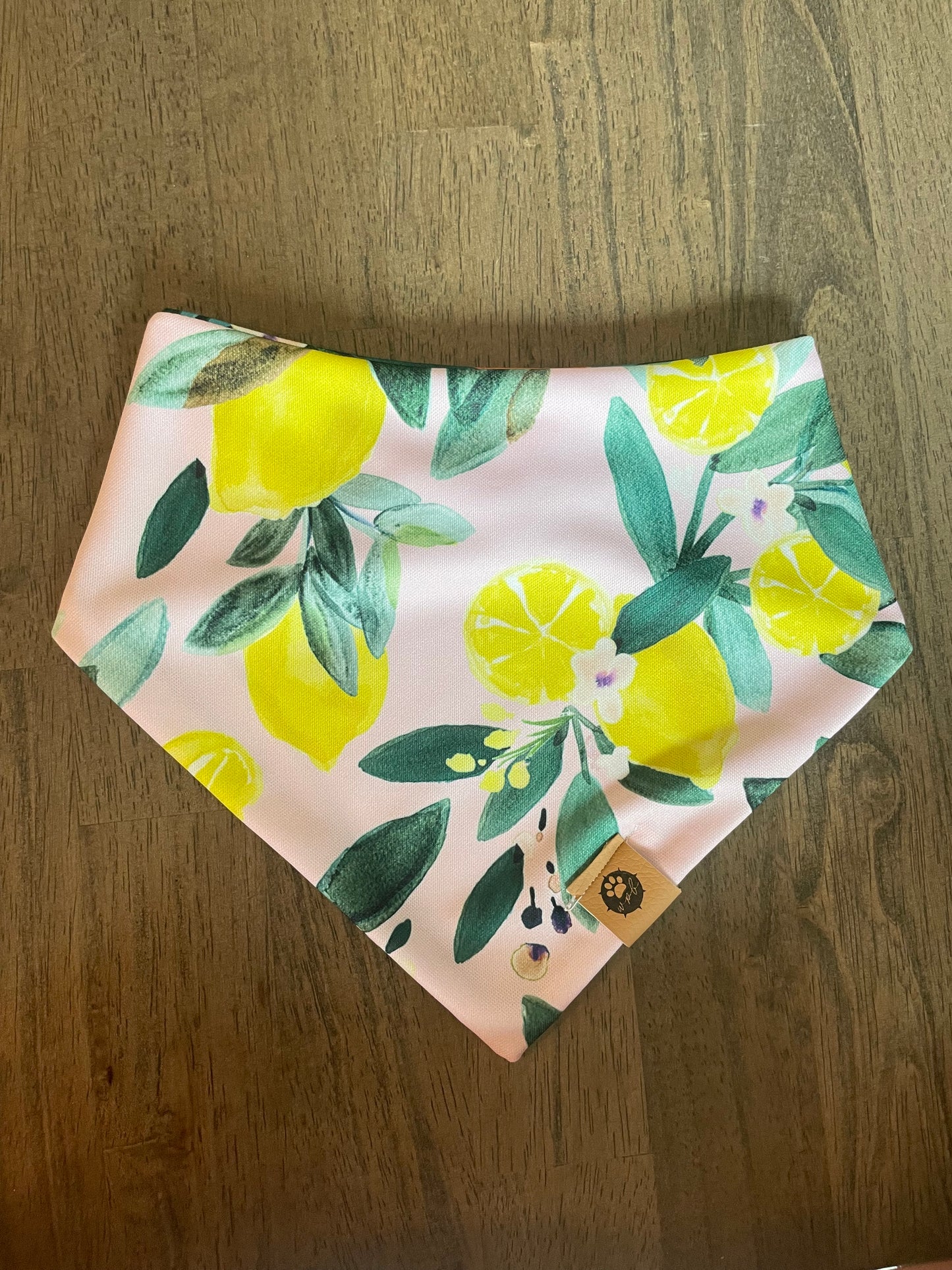 Main Squeeze Reversible Adventure Bandana