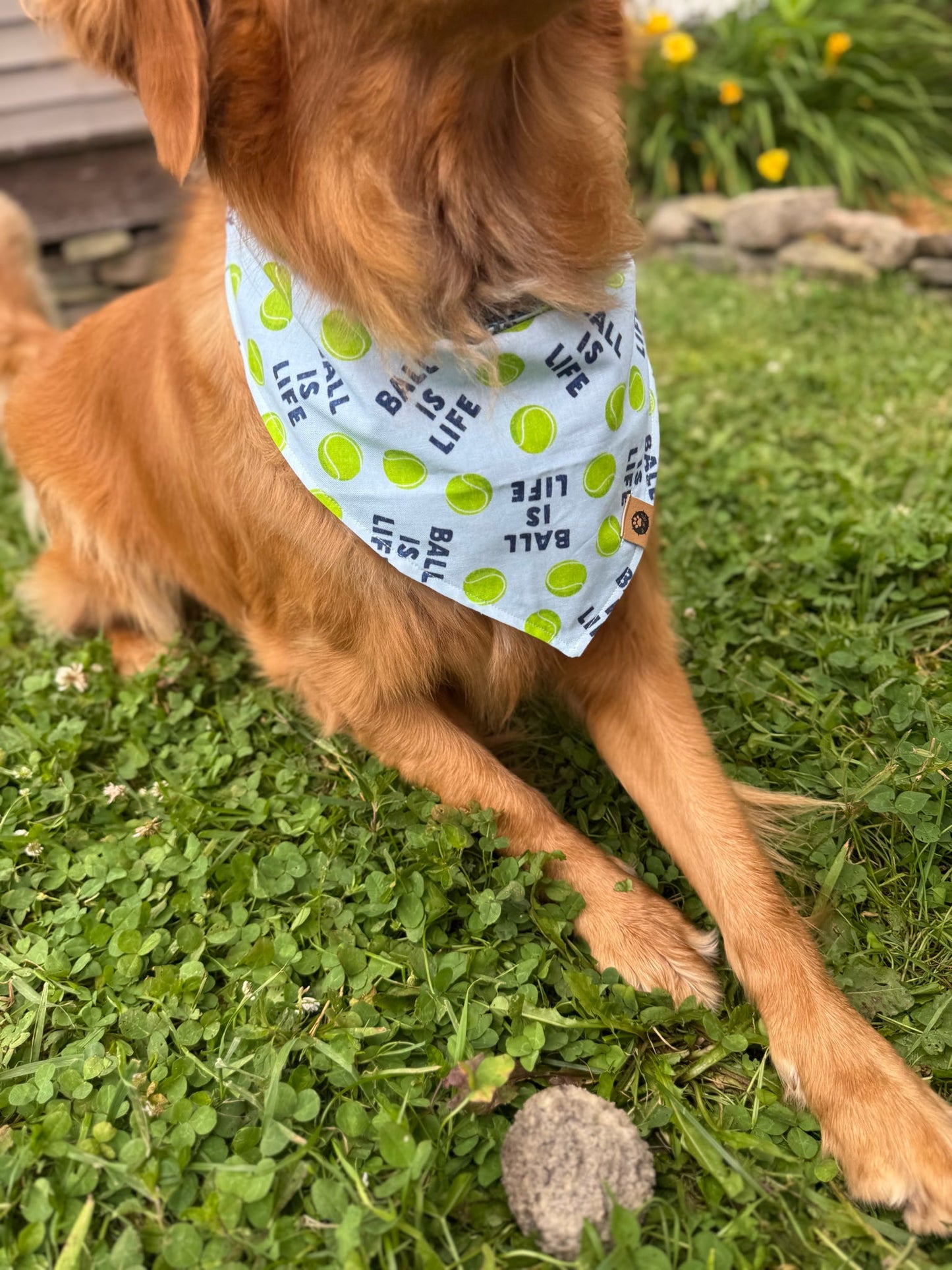 Limerick’s Luck Reversible Bandana (ball is life)