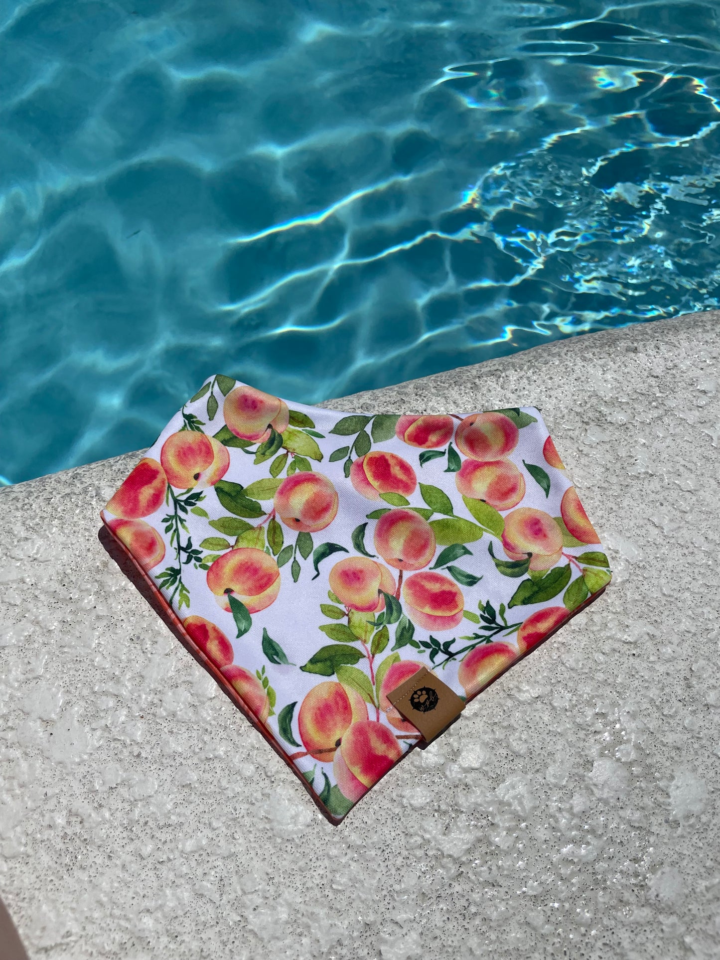 Just Peachy Reversible Adventure Bandana