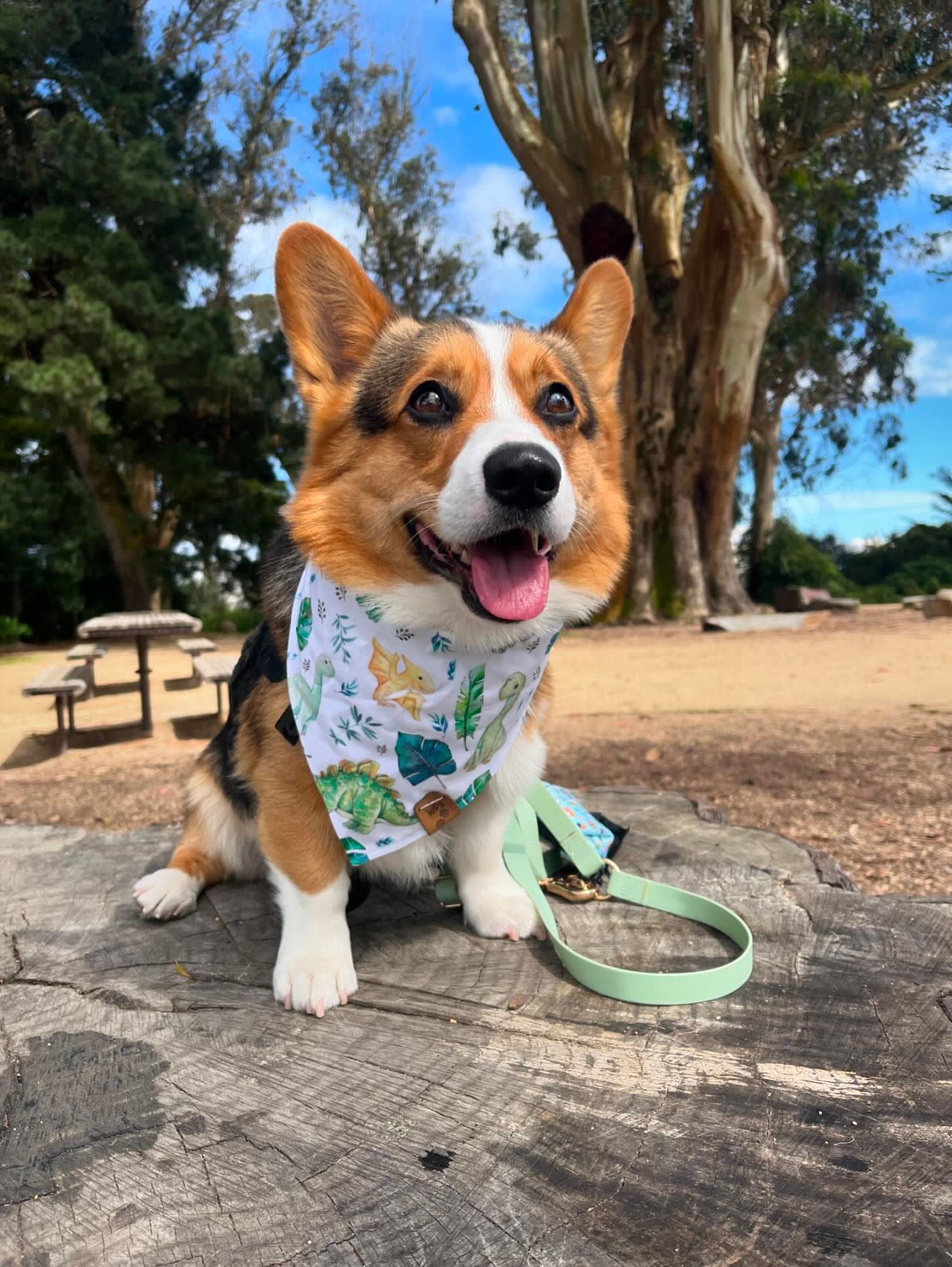 Feeling Dino-Rific Reversible Bandana