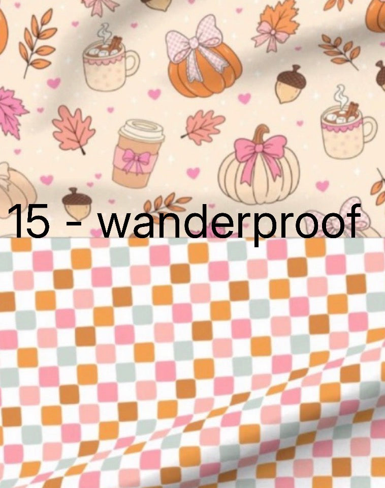 Model Preorder 2