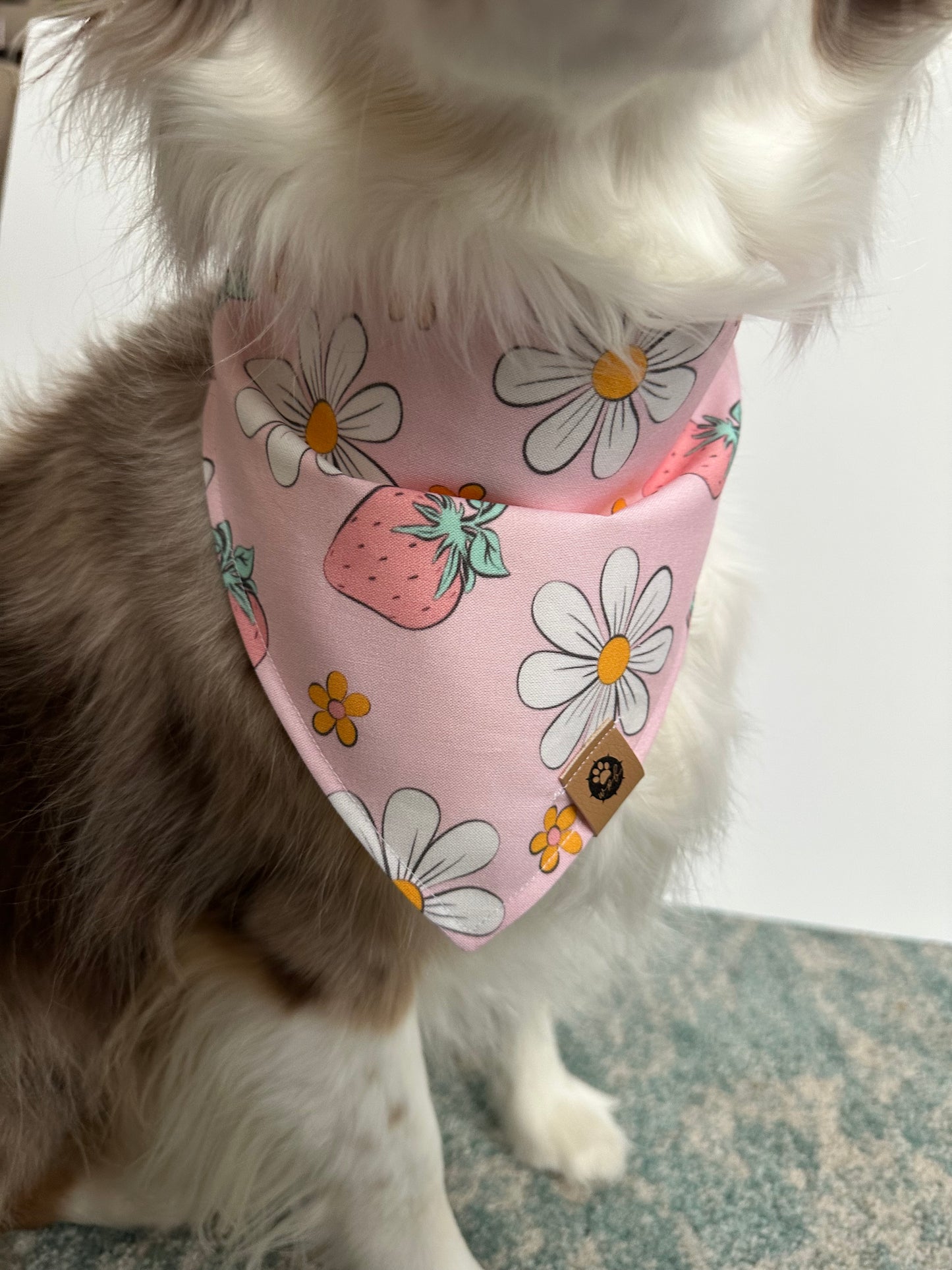 Strawberry Sunshine Bandana