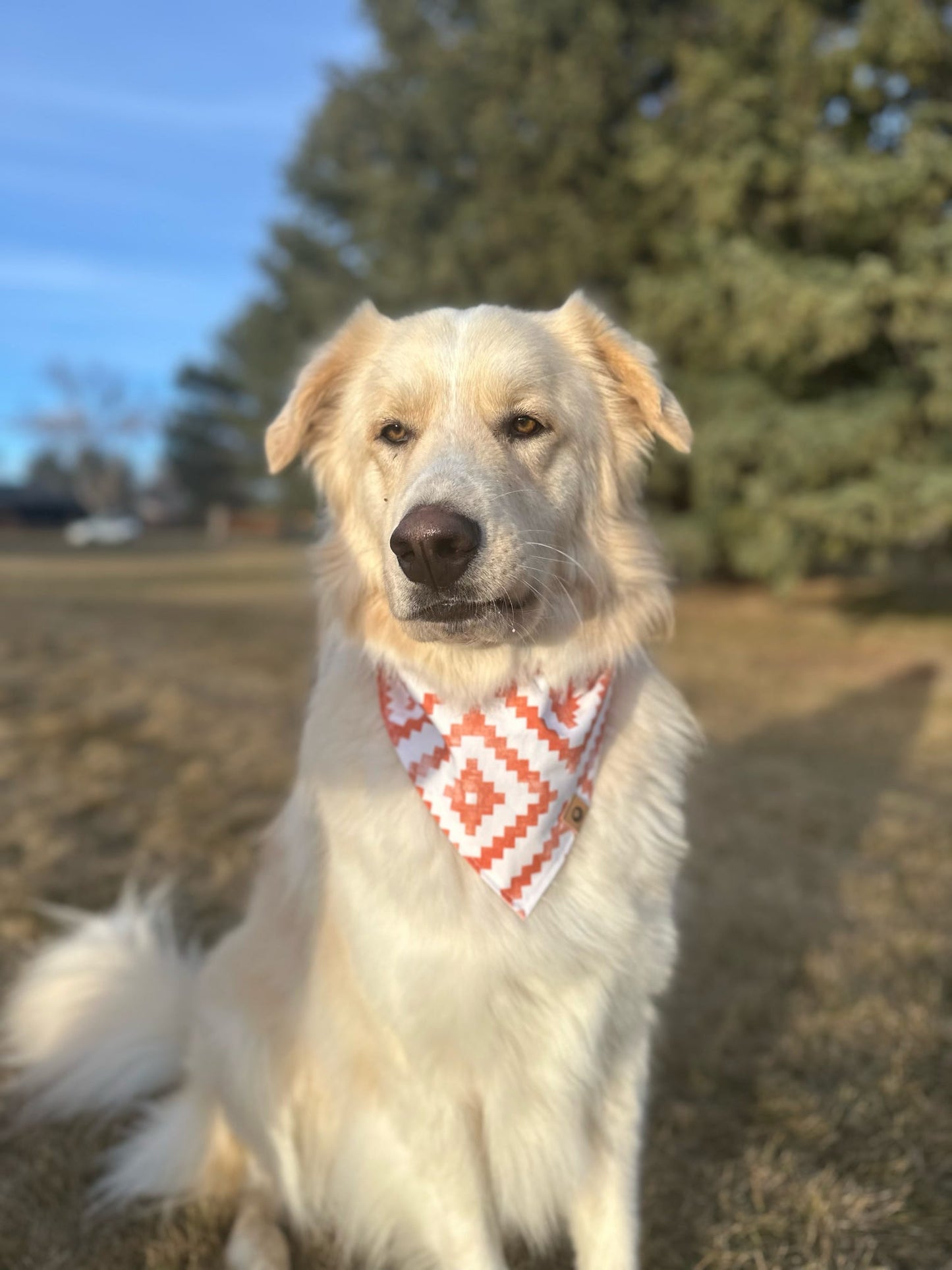 The Outlaw Bandana