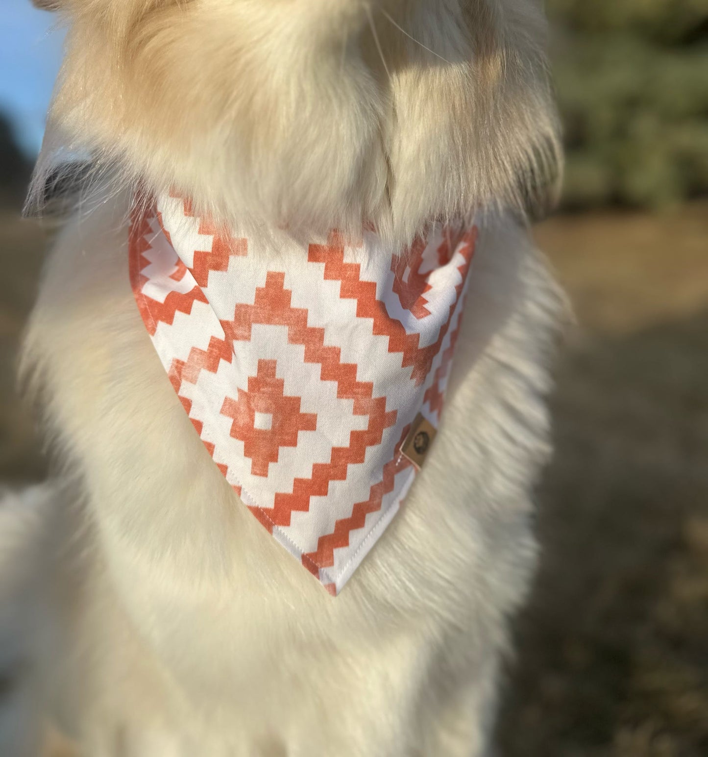 The Outlaw Bandana