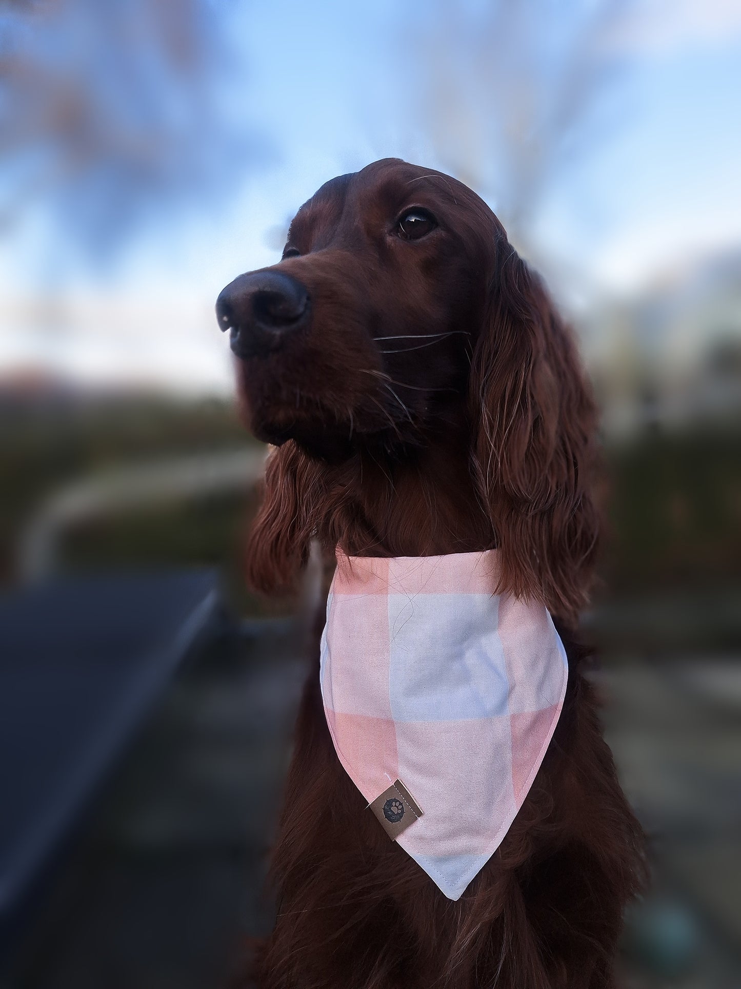 Peaches Reversible Delicate Bandana