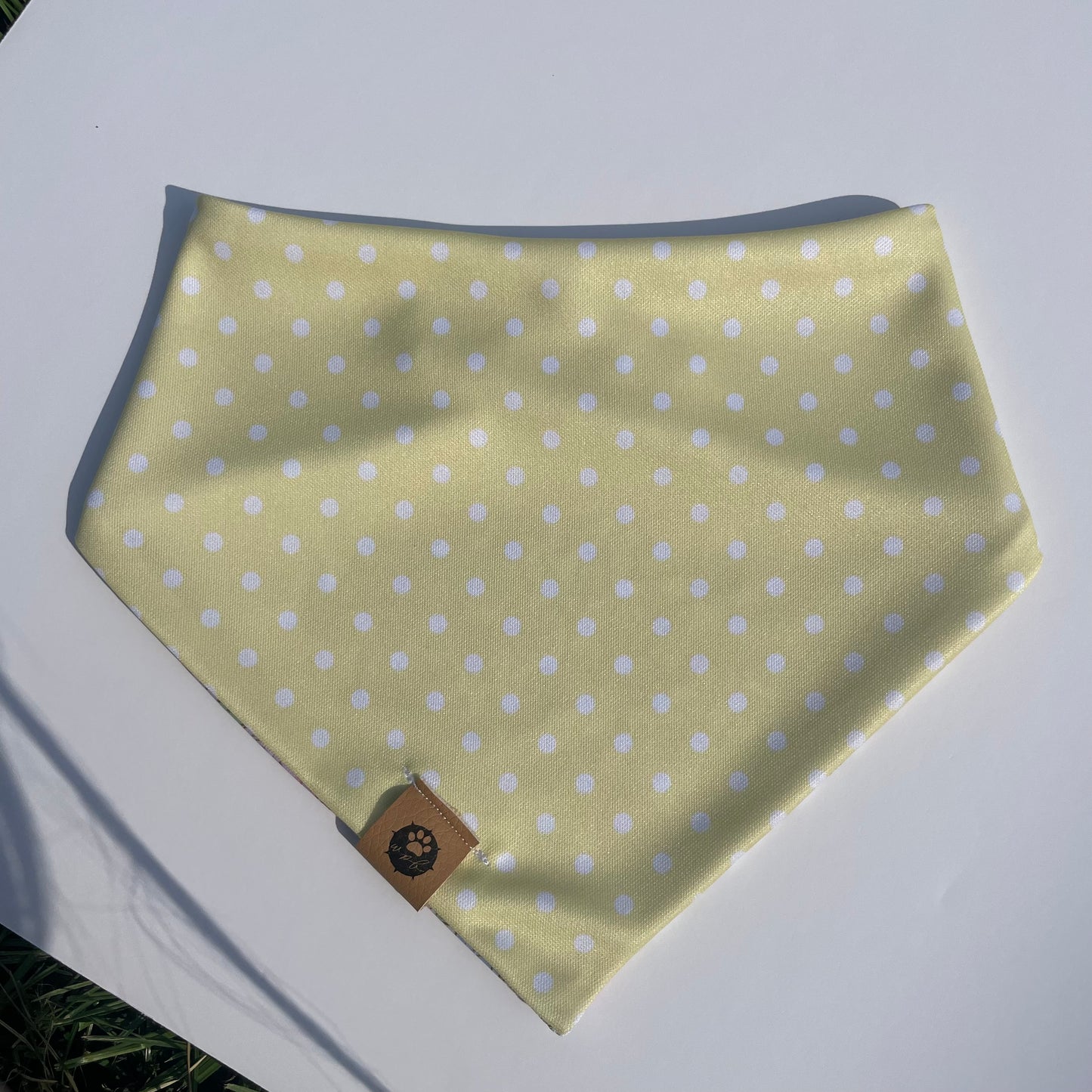 Wildflower Wanderer Reversible Adventure Bandana