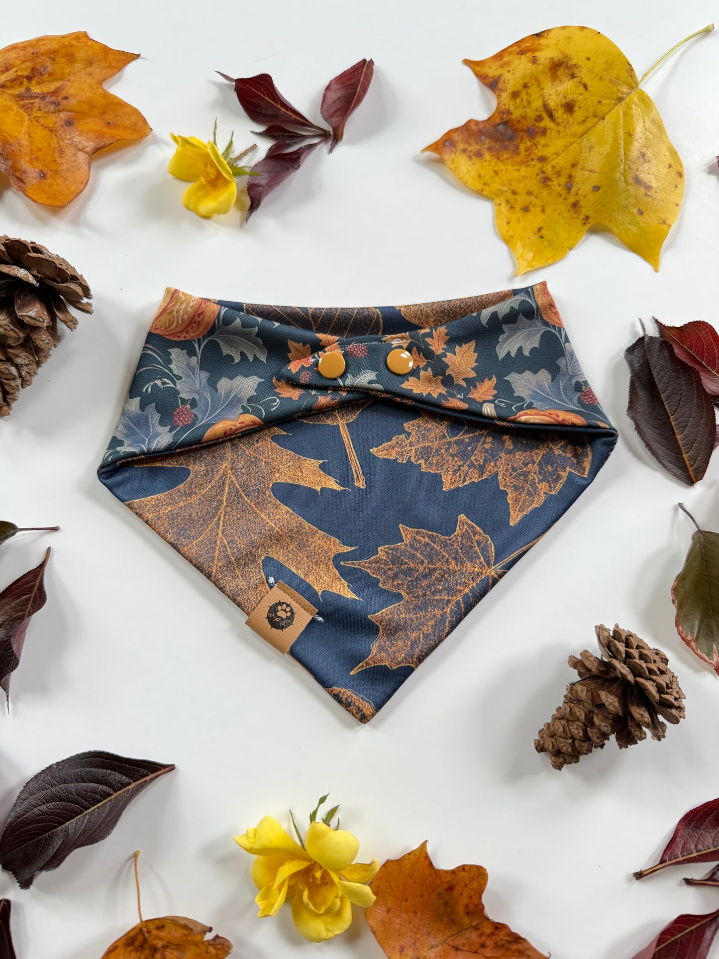 Midnight Patch Reversible Adventure Proof Bandana