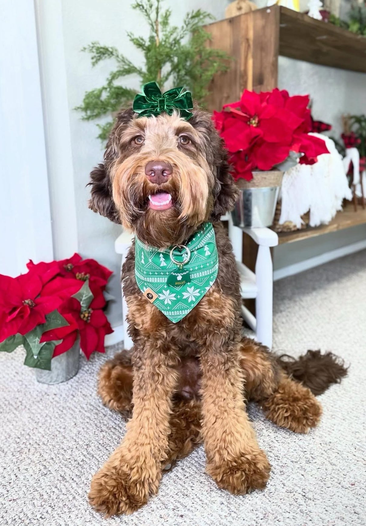 Christmas Sweater Reversible Bandana