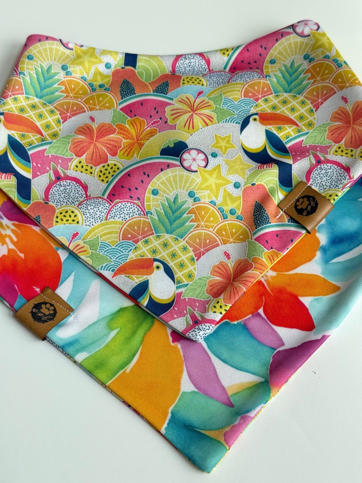 Ahsoka’s Tropical Oasis Wander Proof Bandana