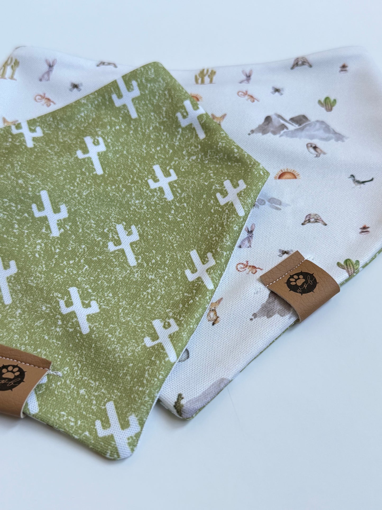 Mika’s Desert Dwellers Reversible Wander Proof Bandana