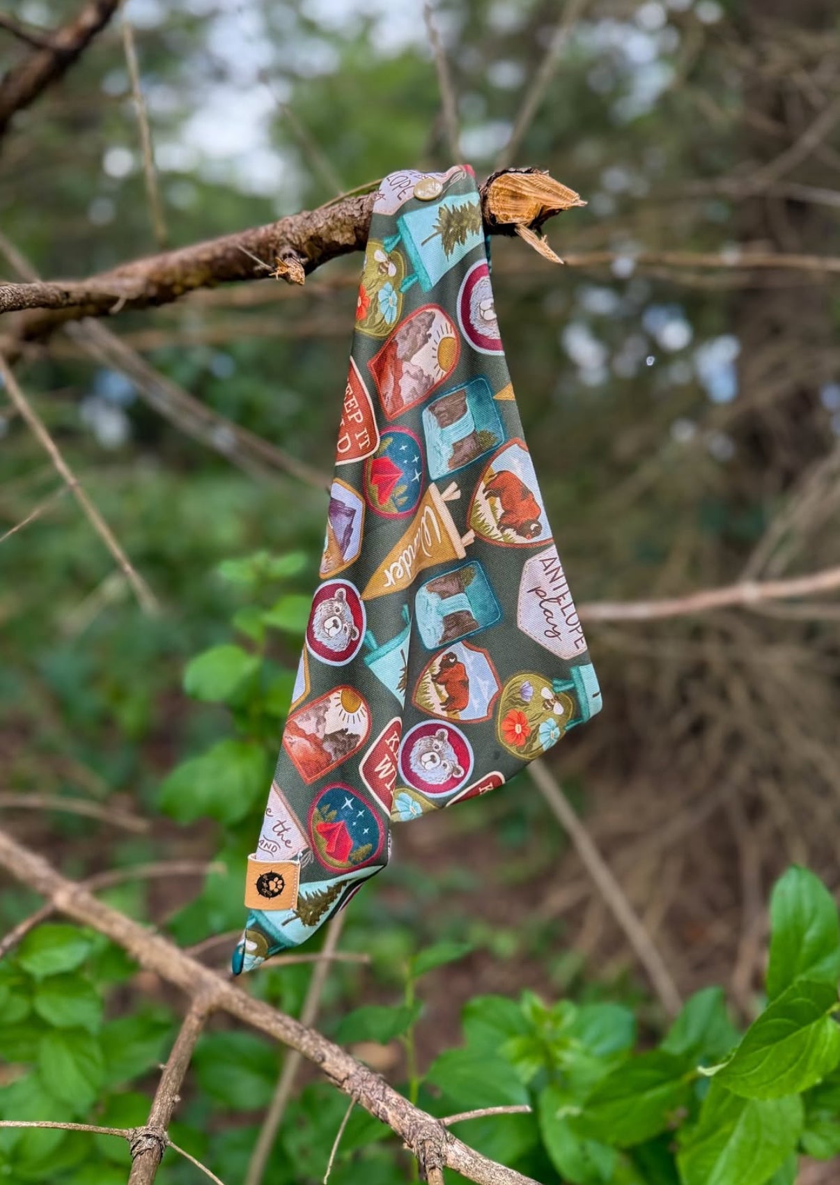 Peaks & Patches Adventure Proof Bandana