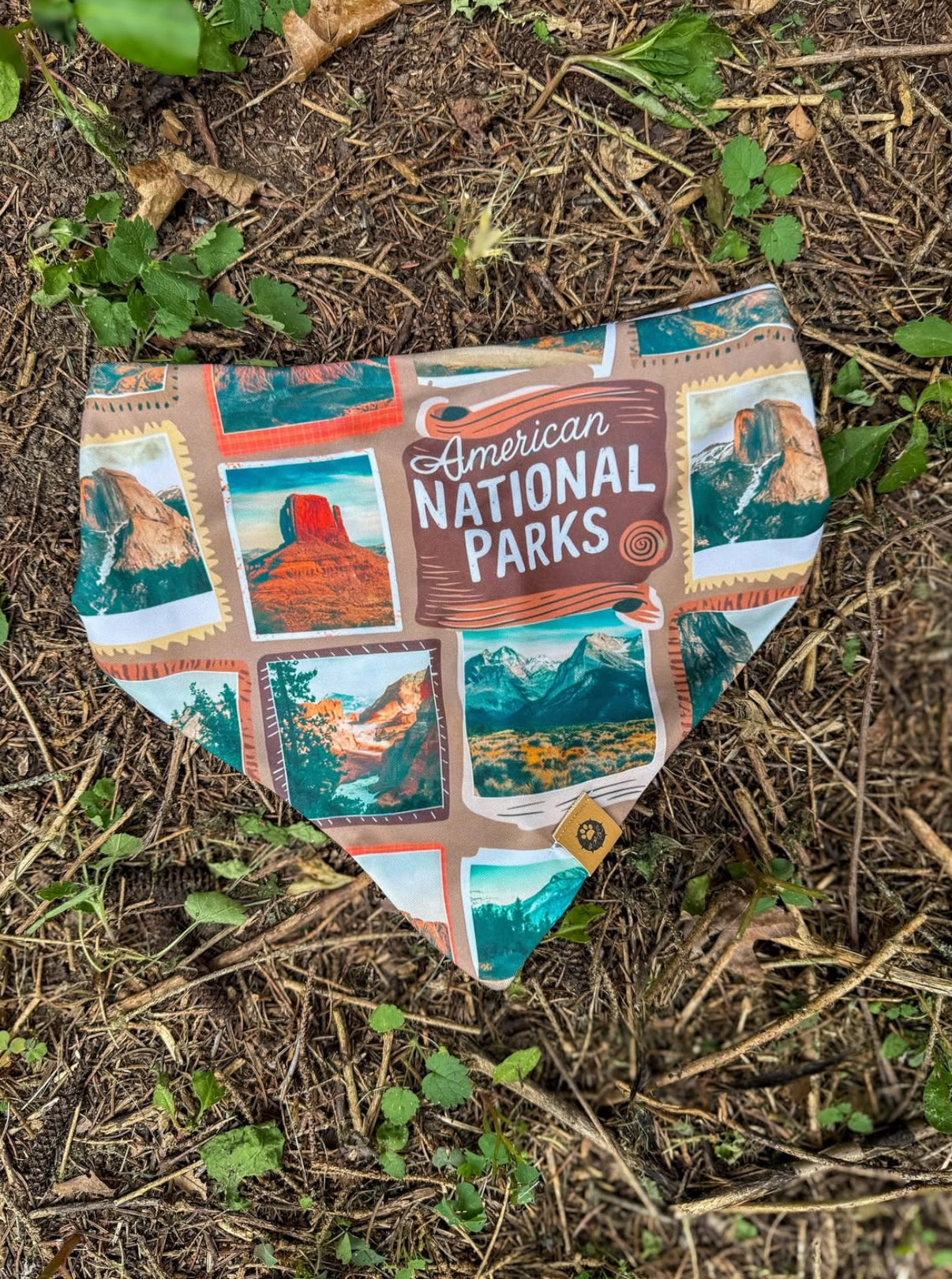 Peaks & Patches Adventure Proof Bandana