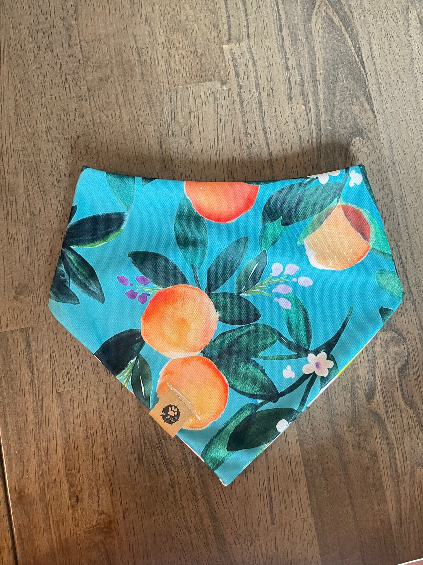 Main Squeeze Reversible Adventure Bandana