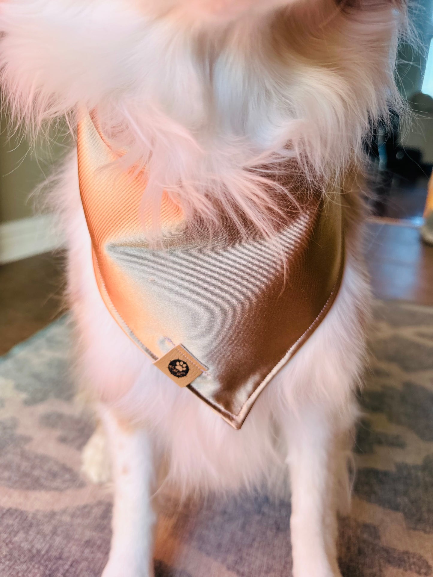 Champagne Celebration Bandana