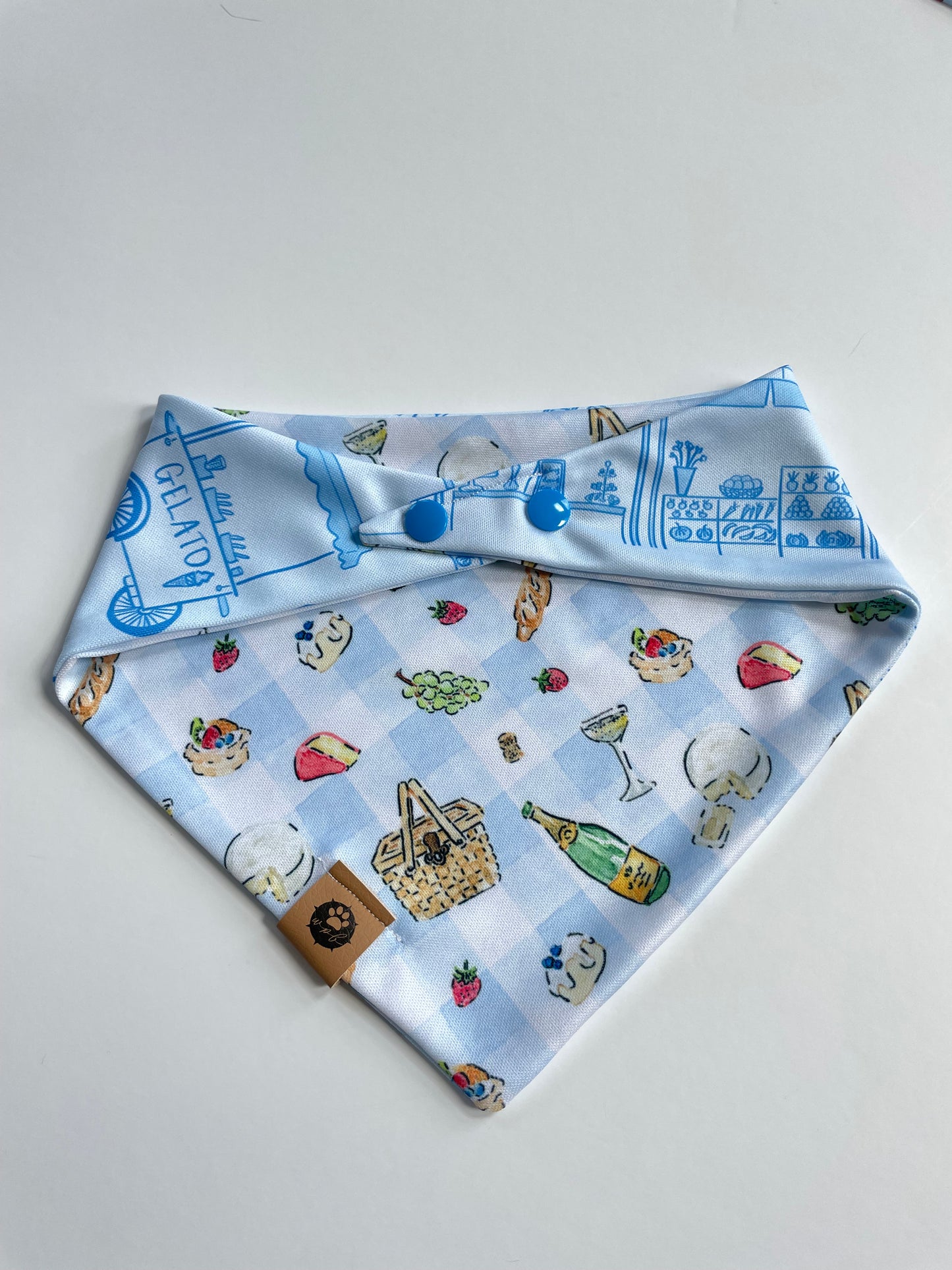 Market Picnic Reversible Adventure Bandana