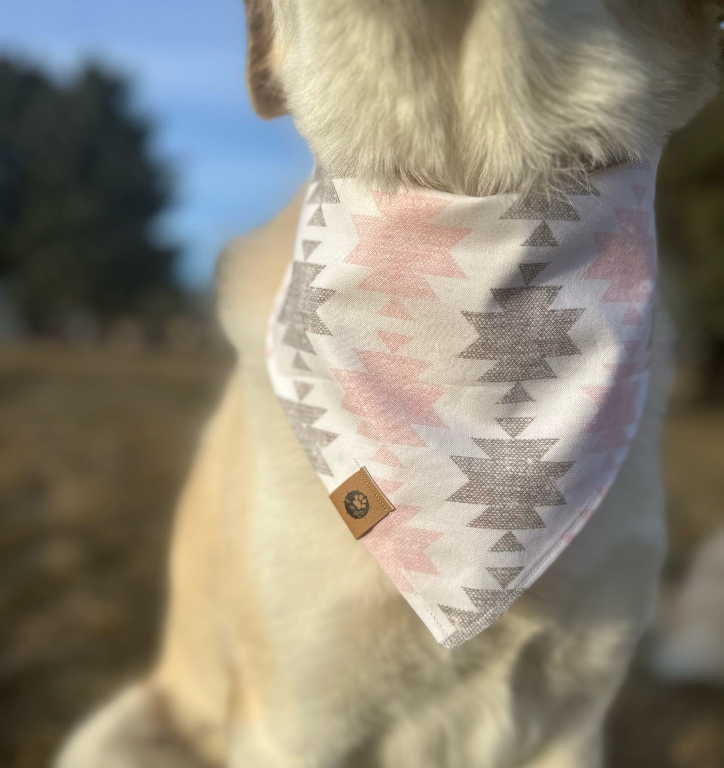 The Outlaw Bandana